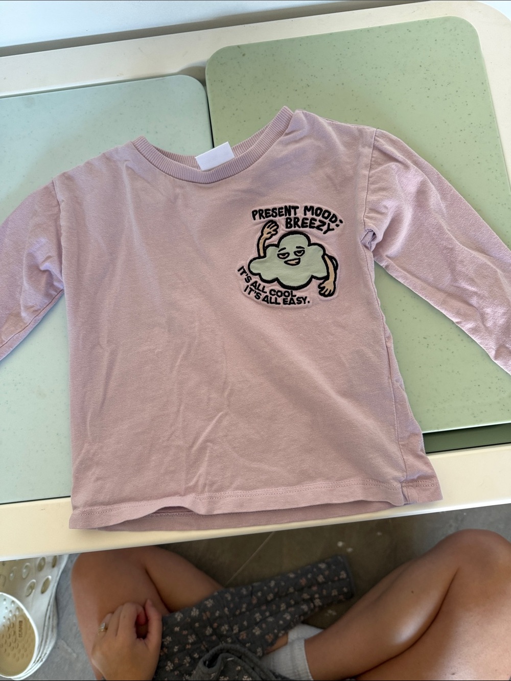 Zara Lavender Long-Sleeve Tee with Green Graphic